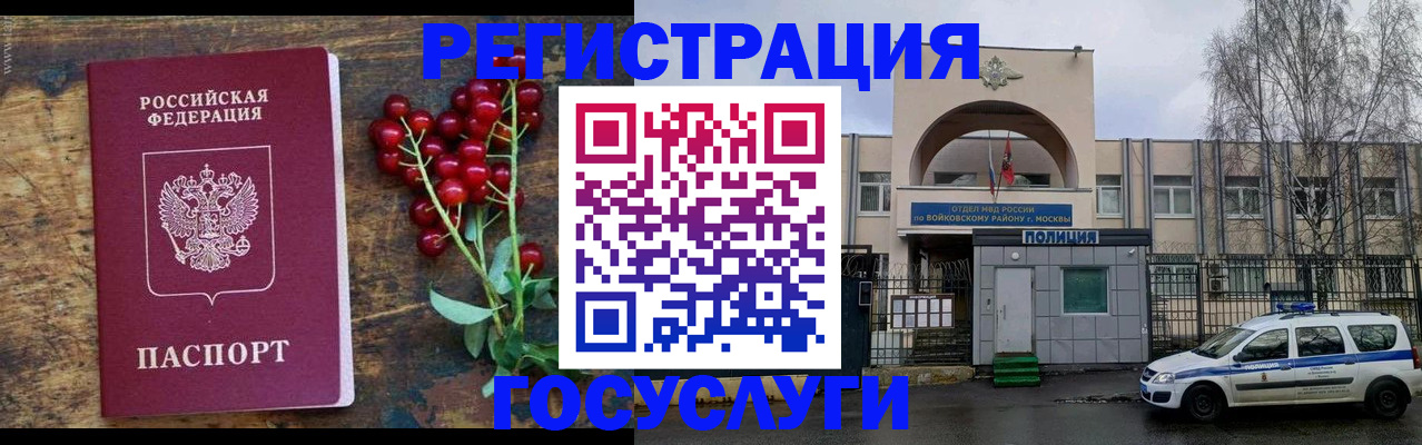 прописка 2025 в Волосово